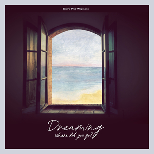 Dreaming (Where Did You Go?)