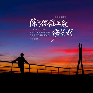 除了你谁还能伤害我 (烟嗓男版)