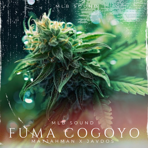 Fuma Cogoyo