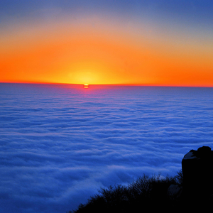 杏花微雨（古筝）