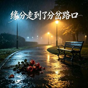 小帅帅 - 缘分走到了分岔路口