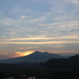 河边的狗尾巴草