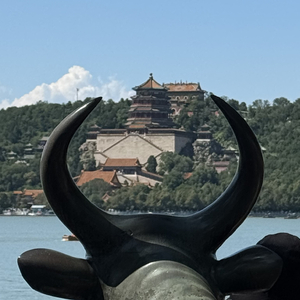 海绵宝宝-李雪莱 - 海绵宝宝_1 [高质量]（⁽不要红心火龙果⁾ remix）