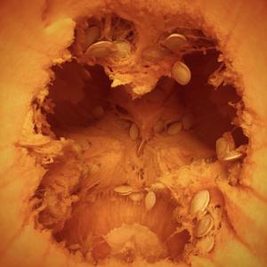 Halloween Intro (feat. Bride Of Firkenstein)