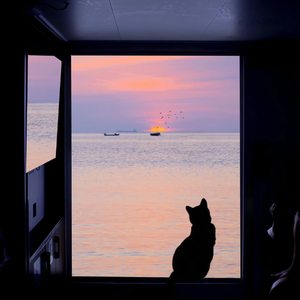 一页（热播版）