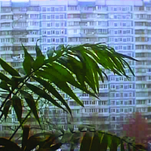 ALRIGHT - REVA POP - WET-ASS MORNIN - LIGDA