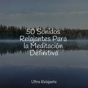 Salvación Sin Estrés