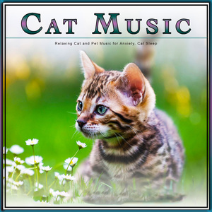 Relaxing Cat Music