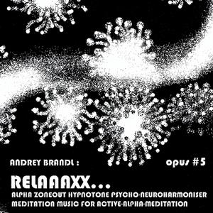 HARMONIC FULFILLMENTS FOR THE SOUL: OPUS #05 / NUMERO #22