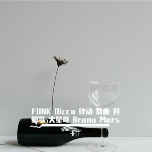 FUNK Dicco 律动 舞曲 抖腿歌 火星哥 Bruno Mars