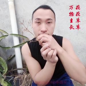 今日可归