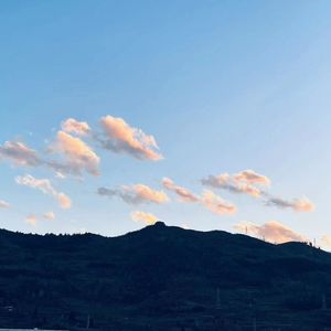 乱录且不想取名字的demo