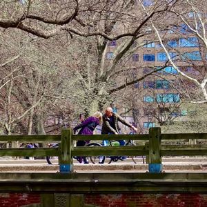 晚舟未归｜Waiting by the Quiet Shore