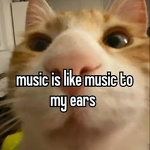 Hood Go Crazy (sped up)