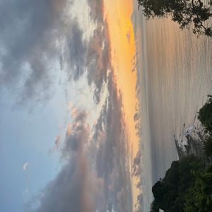 Whats The Vibe (feat. Ace Liberachi & Shawn Chrystopher)