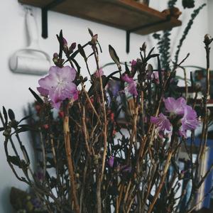 他说他想不起来有一天你不在这儿我去哪吃什么