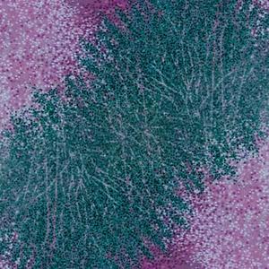 Por el barrio buscando consuelo