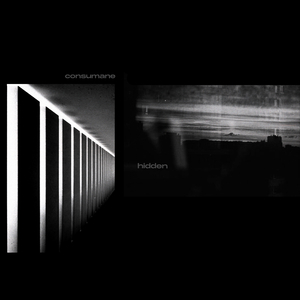 noisefield