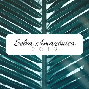 Selva Amazónica