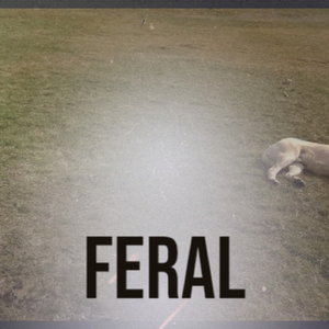 Feral