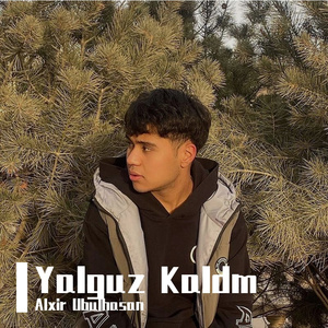 Yalguz Kaldm
