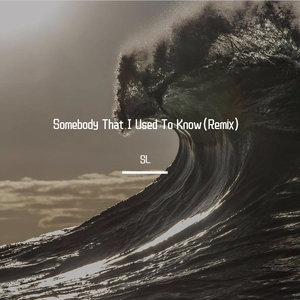 Gotye-Somebody That I Used To Know（SL / CAR Gyn AG remix）