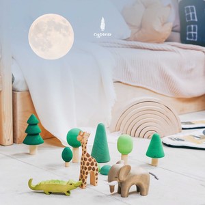 Wholesome Sleeping Music That Newly Born Babies Would Like