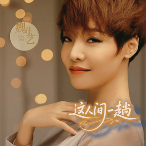 这人间一趟（伴奏）