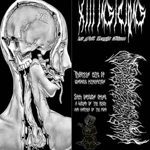 V: ...Gusanos Que Vomitan Órganos Putrefactos Sobre Una Camilla Hospitalaria En Descomposición Cubierta De Formol y Desechos Quirúrjicos Durante La Autopsia De Una Monja Zombi Embarazada. (Parte 2)