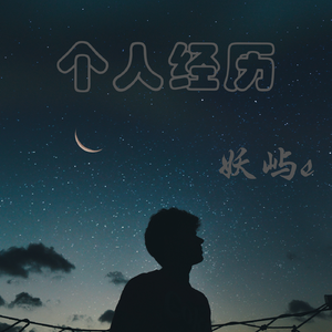 个人经历