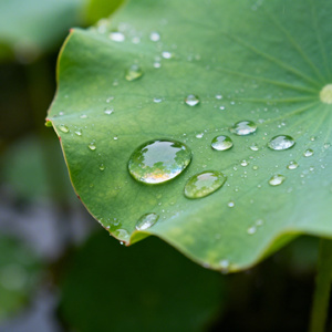 如果哪天我沉默了