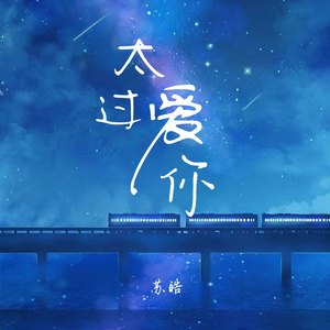 太过爱你 (DJ运动版)