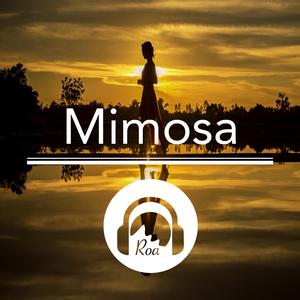 Mimosa