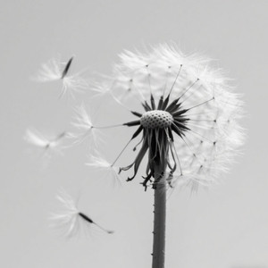 narrate.freestyle（Prodd.NoBirthday）