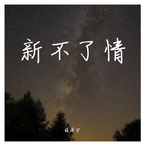 新不了情