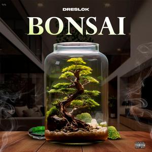 bonsai