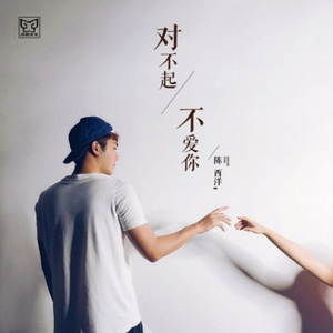 对不起不爱你(伴奏)