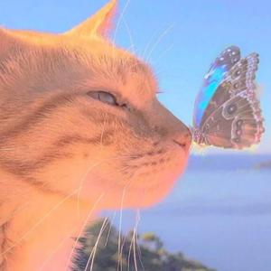 我对月亮说悄悄话，你听整座城市都知道啦