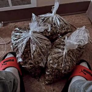 2026 type beat