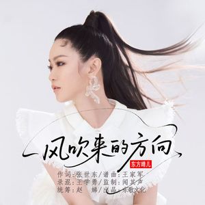 风吹来的方向-DJ版