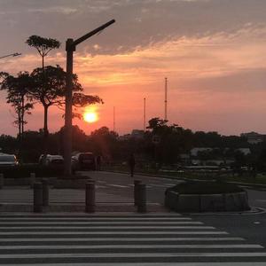 Melancholy 钢琴 虫鸣 雷雨 鸟语