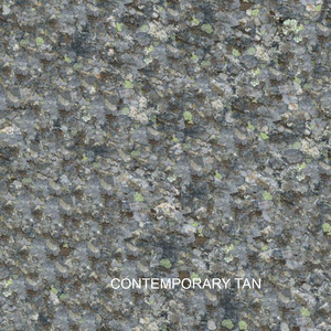 Contemporary Tan