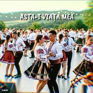 Asta-i viața mea