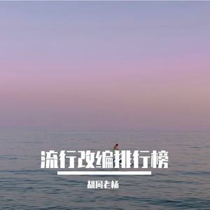 KINGOFJ-柔和之光~1（胡同老杨 remix）