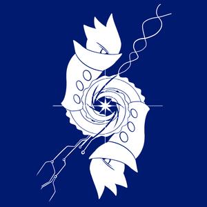 Diminishing Supernova