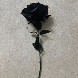 克林索尔的最后夏天