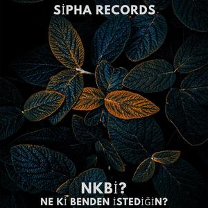 ne ki benden istediğin ? (REMİX)