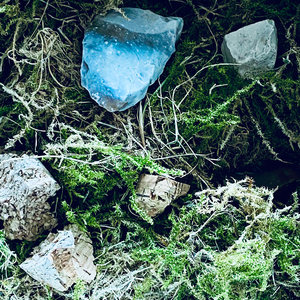 Stipvisite im Paralleluniversum