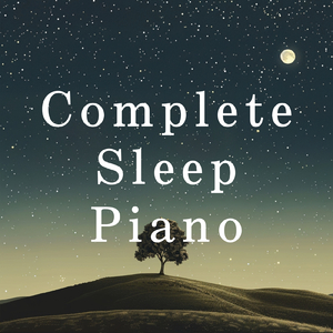 Dreamweaver's Quiet Realm