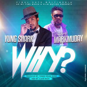 Why? (feat. Markmuday)